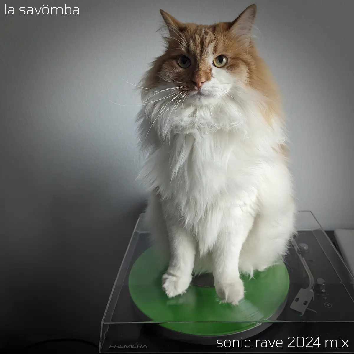la savömba